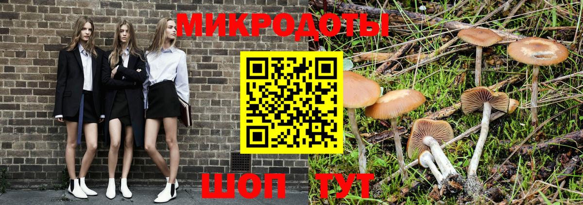 Псилоцибиновые грибы GOLDEN TEACHER  Вход с VPN  Галлюциногенные грибы Psilocybe  Новотроицк 